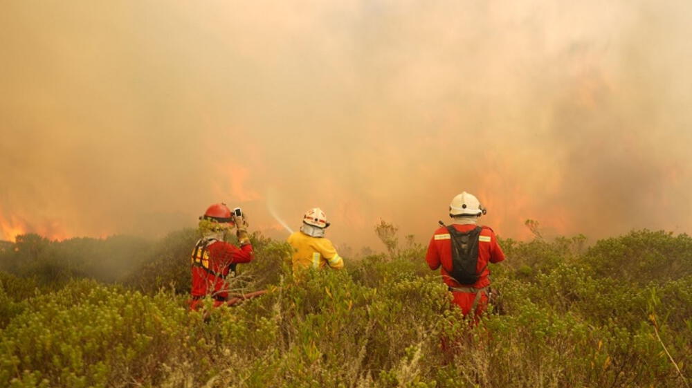 Incendios forestales amenazan a más de un millón de personas