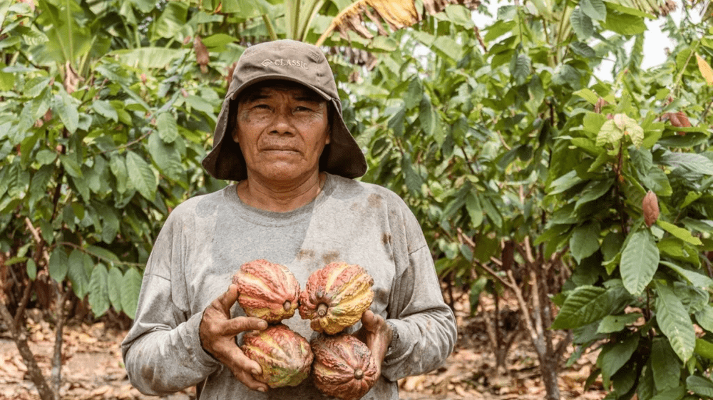 Perú: Nuevo acuerdo impulsa economía circular y conservación