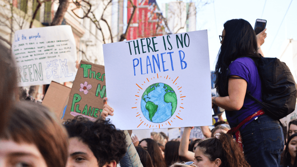 Europa: Medio ambiente en estado crítico por la pérdida de naturaleza
