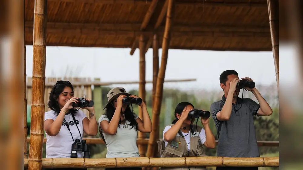 Perú será parte del October Big Day 2025
