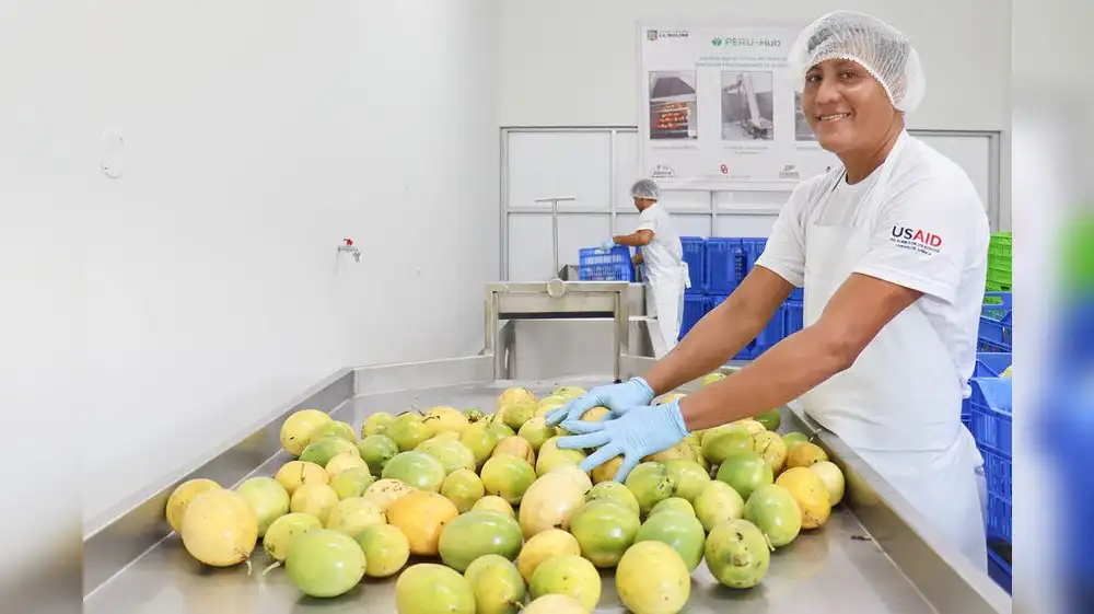 Estudiantes elaboran alimentos sostenibles con residuos amazónicos