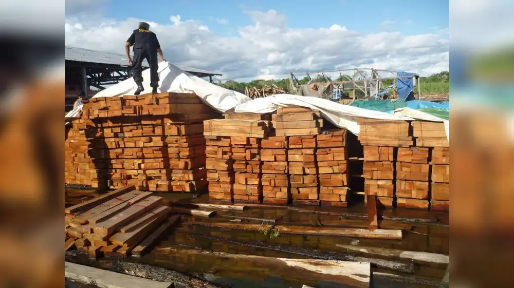 Dictan seis años de prisión efectiva contra traficante de madera