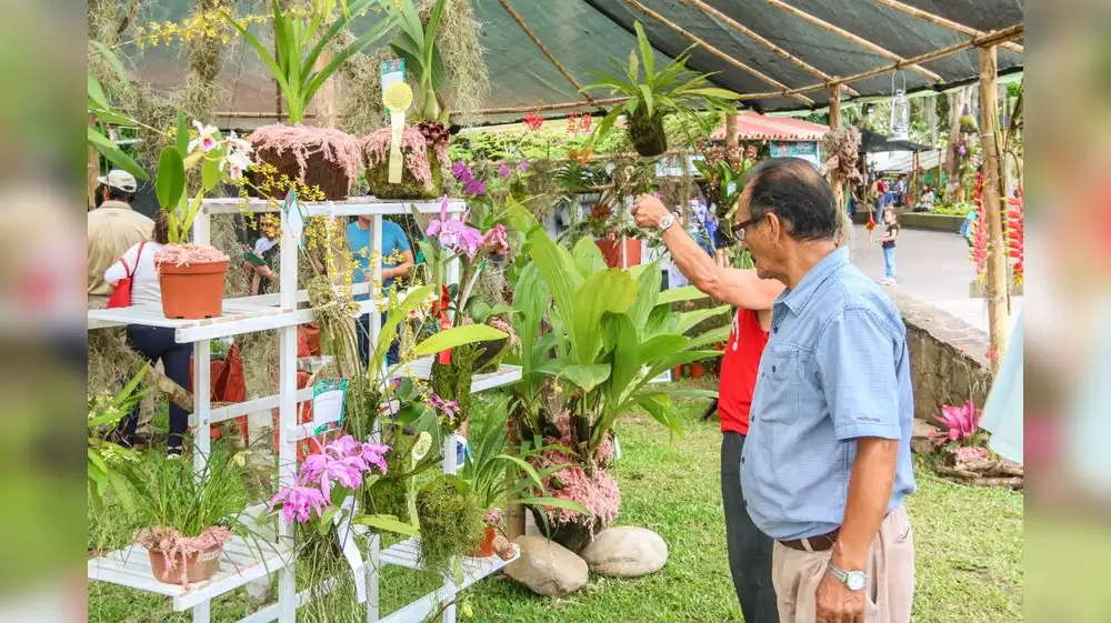 Moyobamba será sede de Festival de la Orquídea 2025