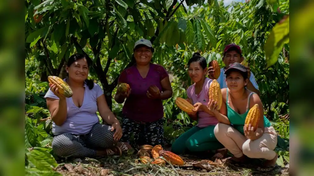 Emprendedores postulan a fondo para sus negocios ecoamigables