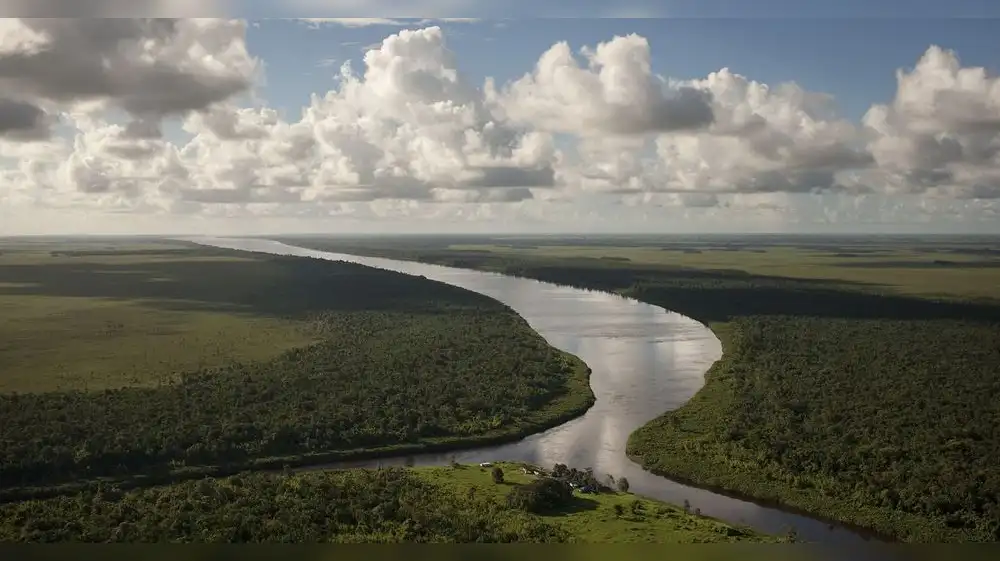 Buscan que cabeceras de cuencas hidrográficas sean intangibles