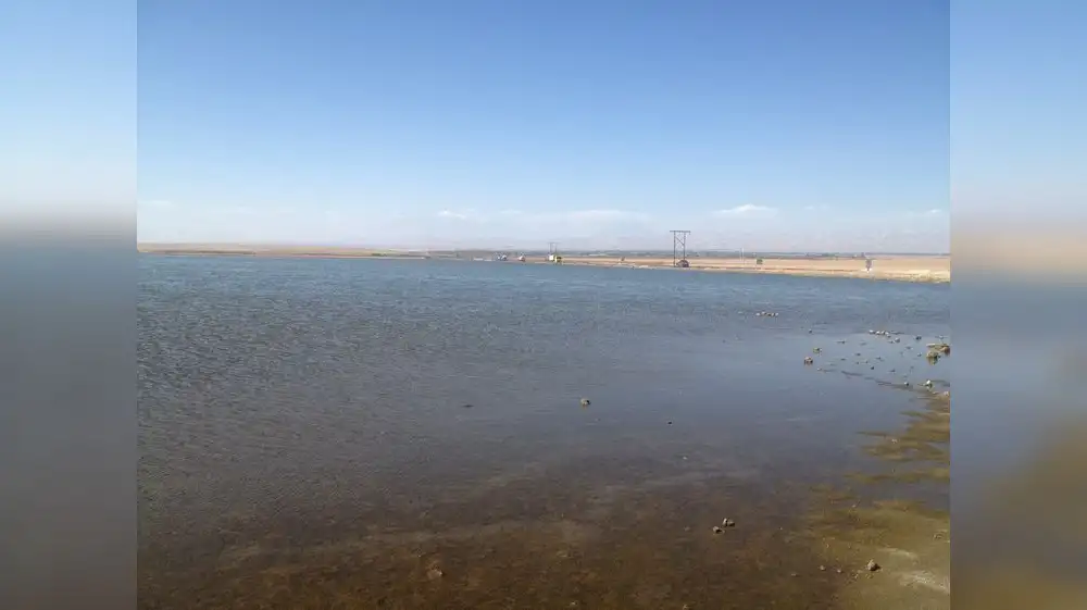 Microalga de laguna peruana acabaría con contaminación por metales