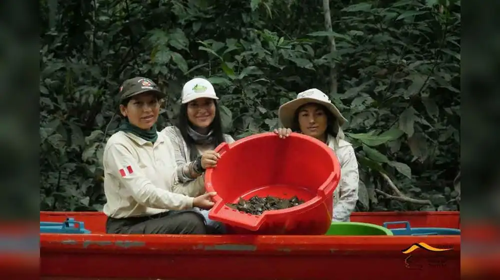 Miles de taricayas son liberadas en Parque Sierra del Divisor