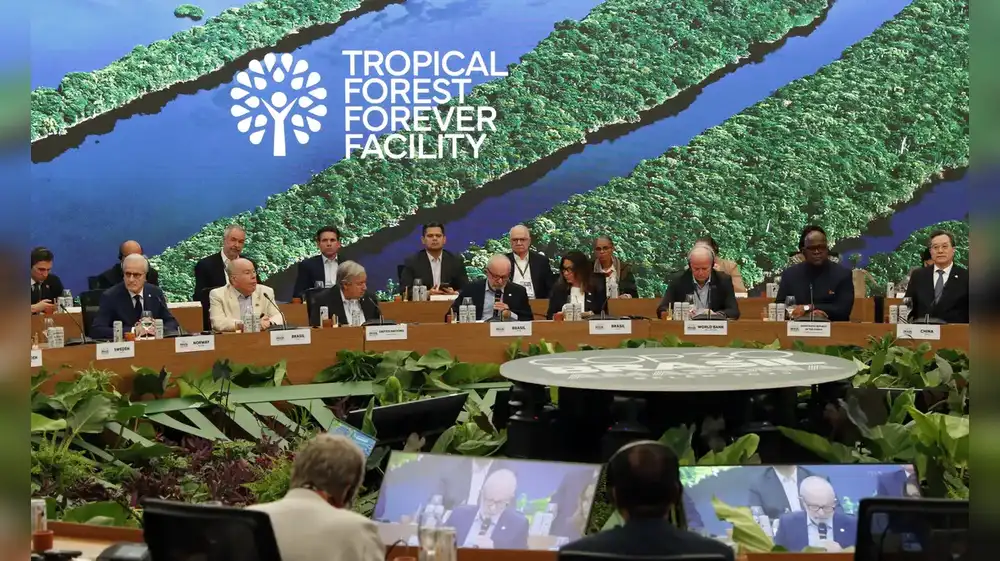 Brasil lanza fondo para proteger los bosques tropicales