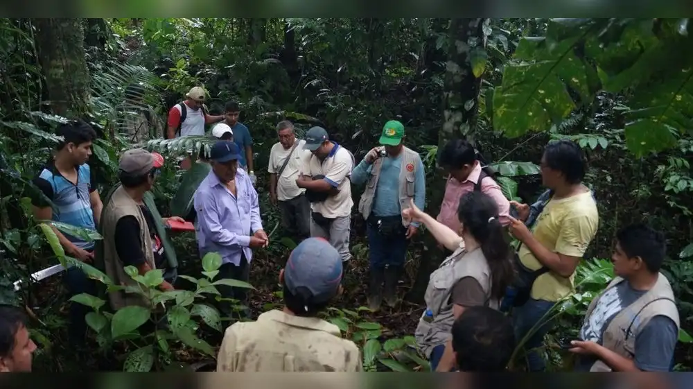 Reforestarán 570 hectáreas de bosques en santuario de Machu Picchu