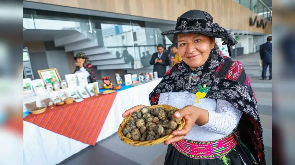 Feria internacional destacará enormes atributos de la maca