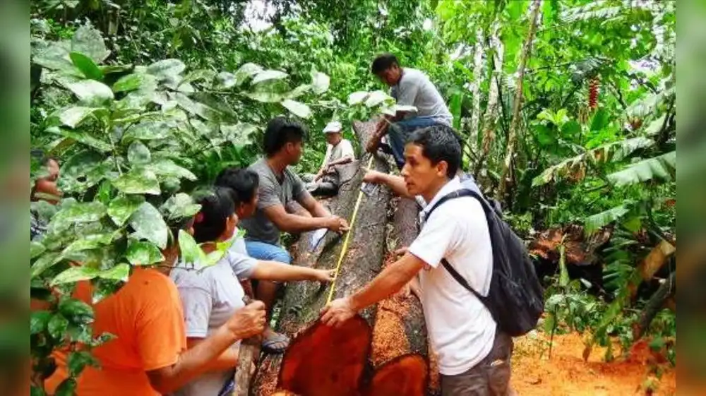Comunidades campesinas son capacitadas para defensa de flora y fauna
