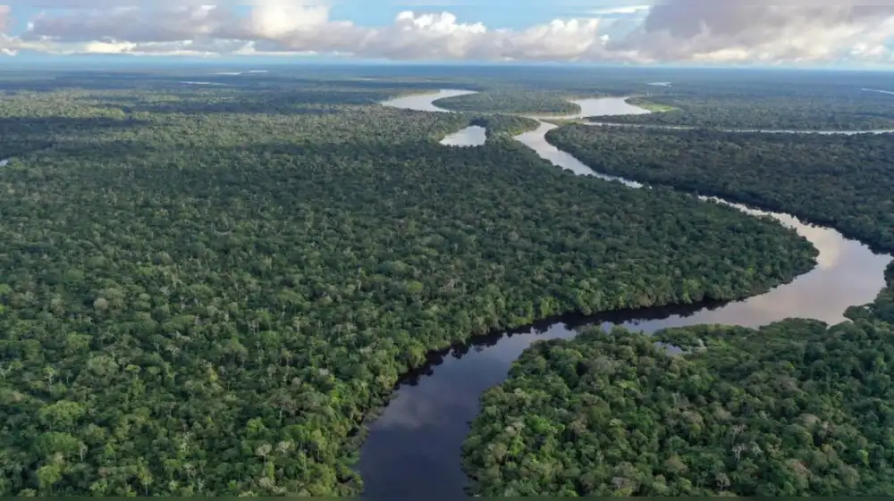 Colombia declara su Amazonía libre de petróleo y minería