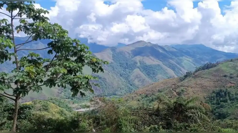 NCI inicia estudios para nueva área de conservación regional en Huamalíes–Monzón