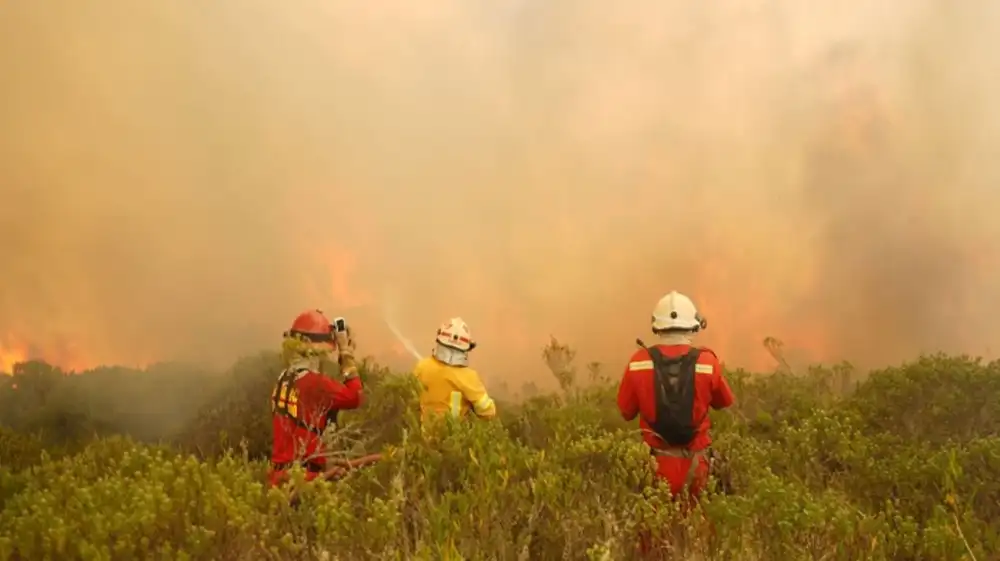 Incendio forestal afecta enorme área en centro poblado de Lambayeque