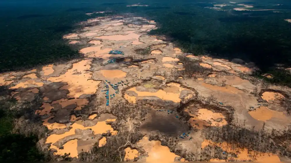 La imparable crisis de la deforestación