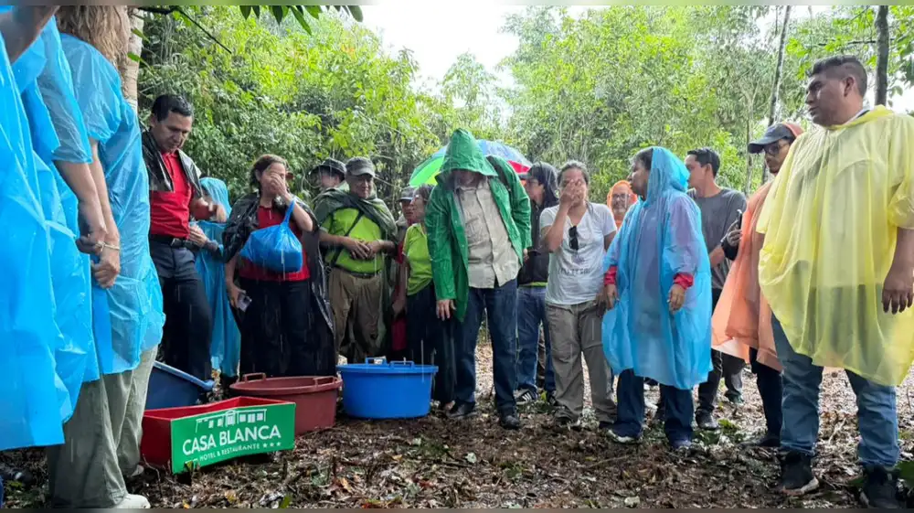 Conservación de taricayas: alianza público-privada protege la Amazonía loretana