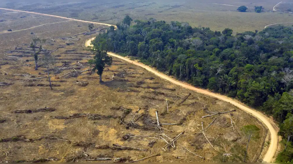 Amazonía enfrentó más de 12 mil desastres climáticos en una década
