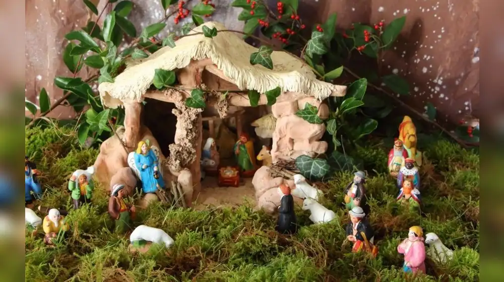 Musgos se encuentran en riesgo por decoraciones navideñas