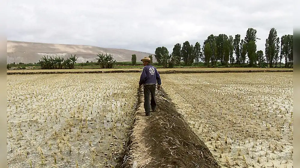 Nueva herramienta permitirá mejorar monitoreo y prevención de sequías