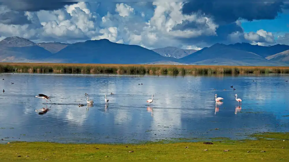 Aprueban Plan Maestro de Reserva Nacional de Junín