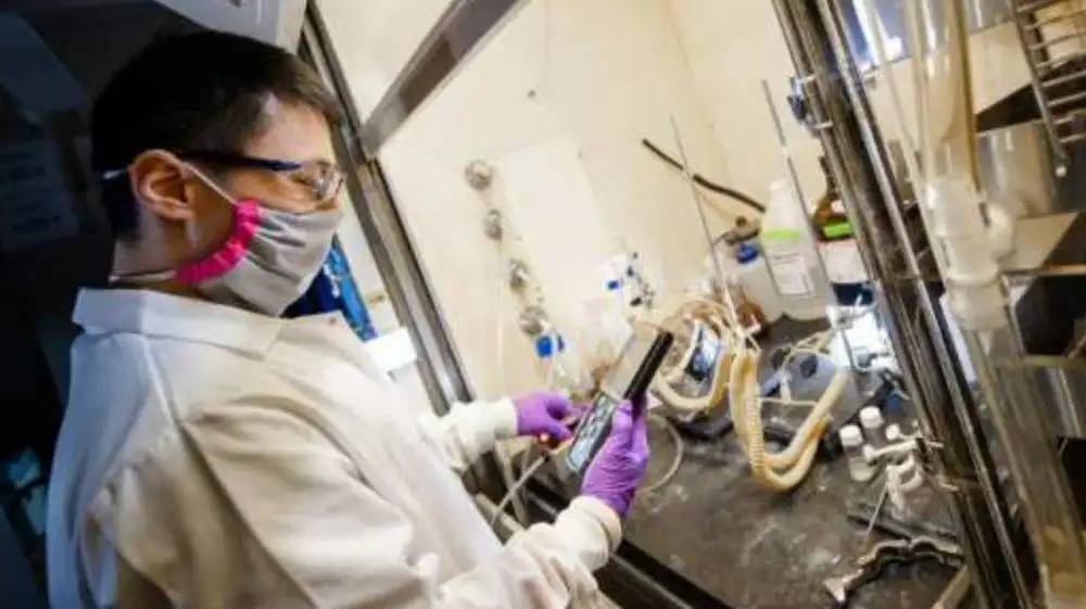 Australia convierte residuos en bioplásticos compostables