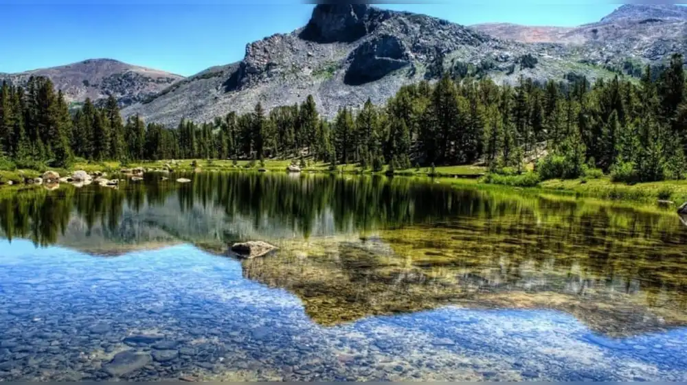 Rusia: Polémica ley permite deforestación en el lago más profundo del mundo