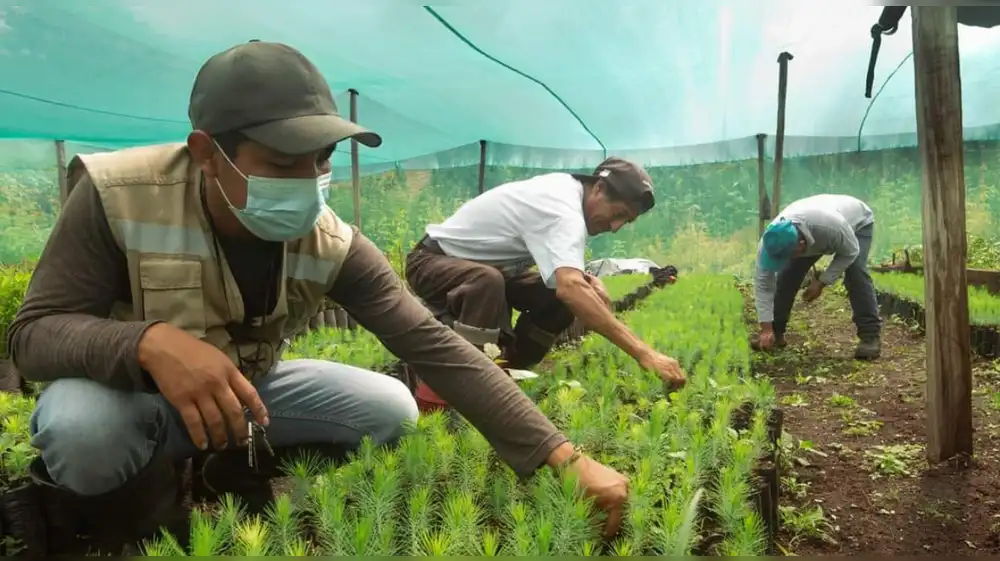 Firman convenio para fortalecer conservación ambiental en Junín