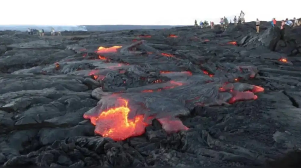 Microbios logran colonizar lava volcánica en Islandia