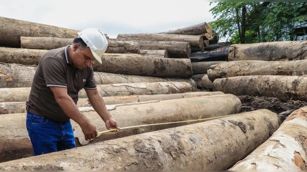 Abren convocatoria para el Programa de Incentivos Forestales