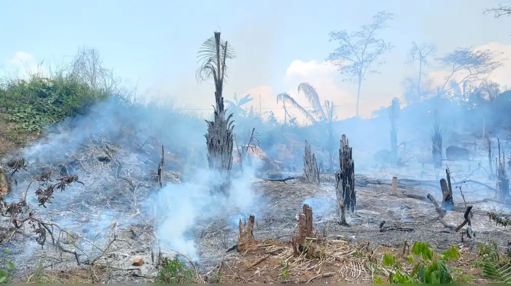 Fiscalías logran más de 800 condenas y destruyen 22 mil bienes de la minería ilegal en 2025