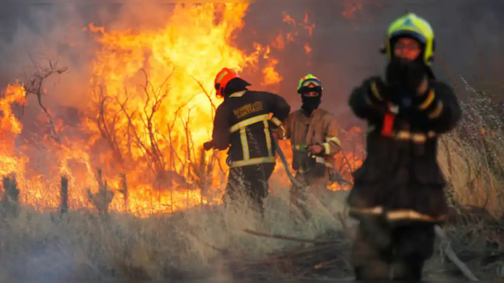 Chile: Se elevan a 20 las víctimas por terribles incendios forestales