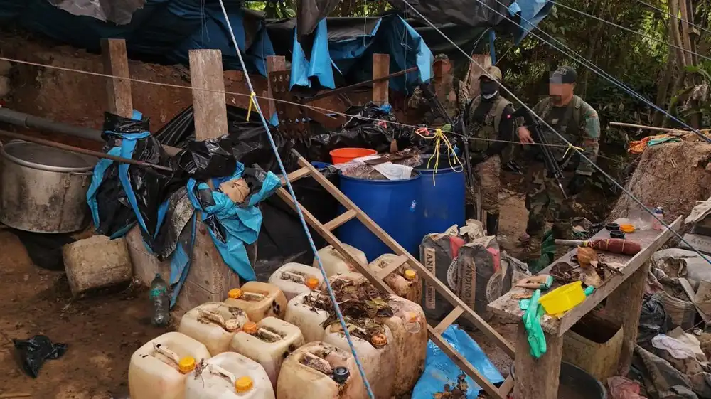 Destruyen más de 7 toneladas de hoja de coca ilegal en el Vraem