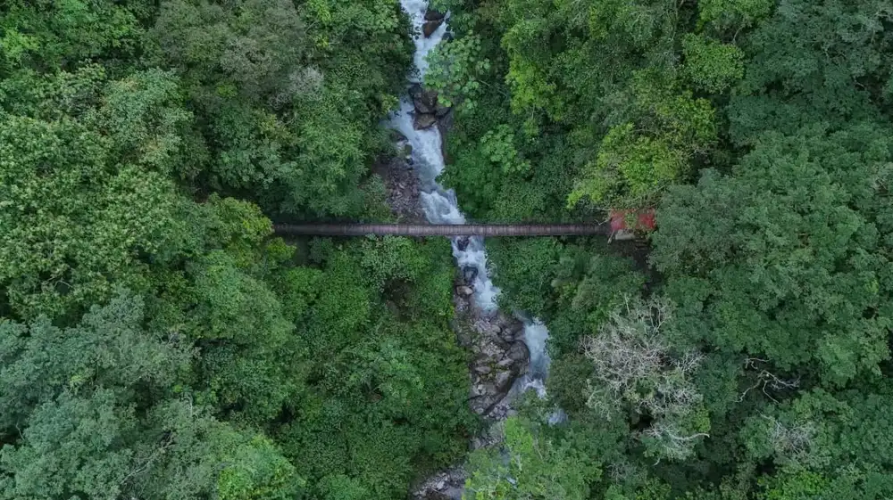 El mundo invierte 30 veces más en destruir la naturaleza que en protegerla, advierte la ONU