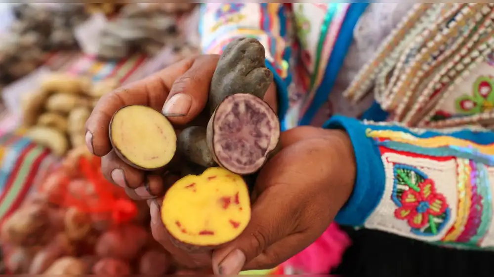 Perú avanza en materia de conservación de la biodiversidad