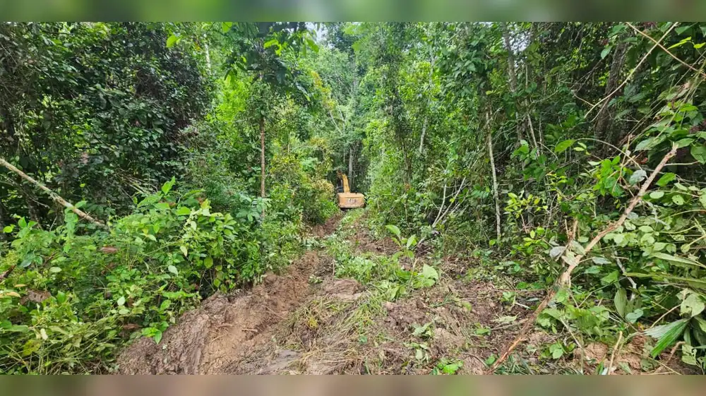 Destruyen maquinaria valorizada en más de S/ 4 millones dentro del área de conservación Panguana