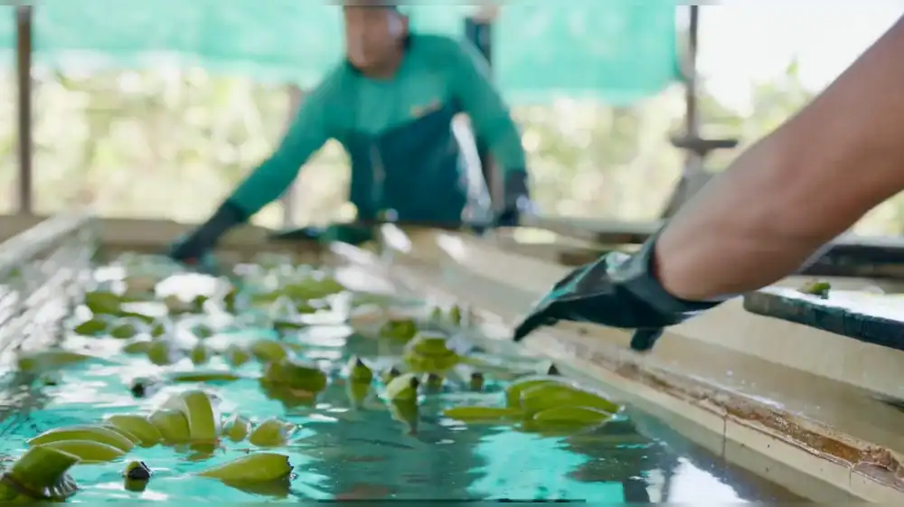 La Unión Europea consolida su rol como motor de la transición hacia la economía circular en el Perú durante el 2025