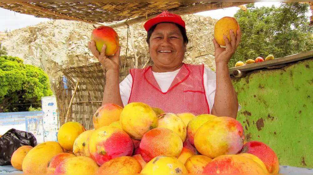 Aprueba norma técnica para impulsar calidad del mango