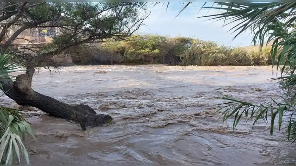 Ica: Tierras de cultivo en peligro por desborde de río Pisco