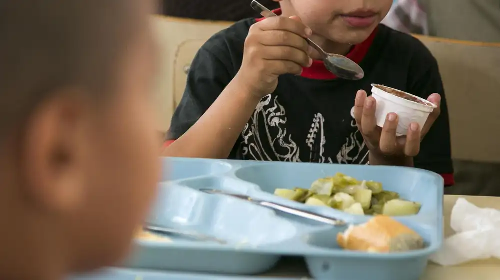Francia: Niños están expuestos a altos niveles de metales tóxicos