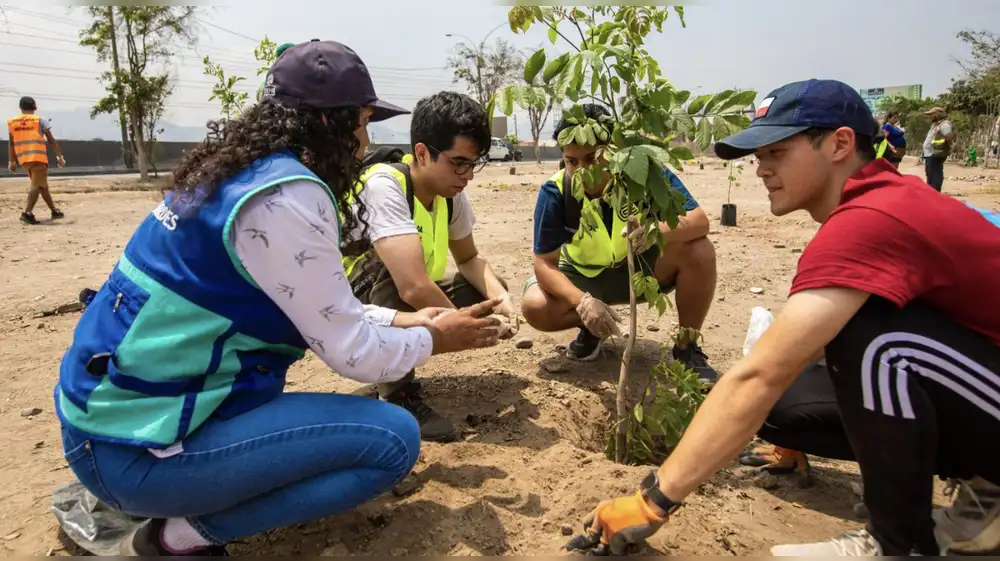 Universitarios impulsarán jornadas de reforestación y arborización
