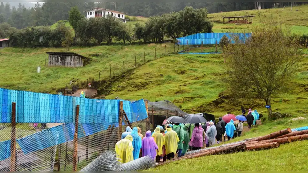 Refugio animal es seriamente afectado por lluvias extremas