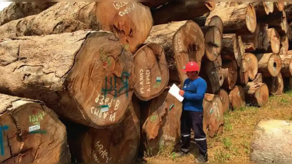 Cofinanciarán pequeñas plantas de transformación de madera