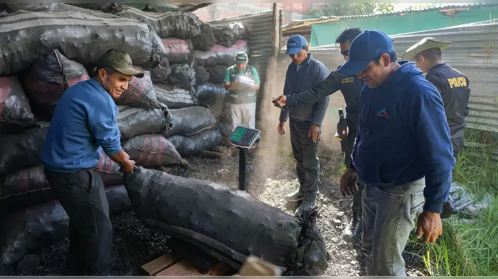 Incautan casi 20 toneladas de carbón ilegal en Áncash