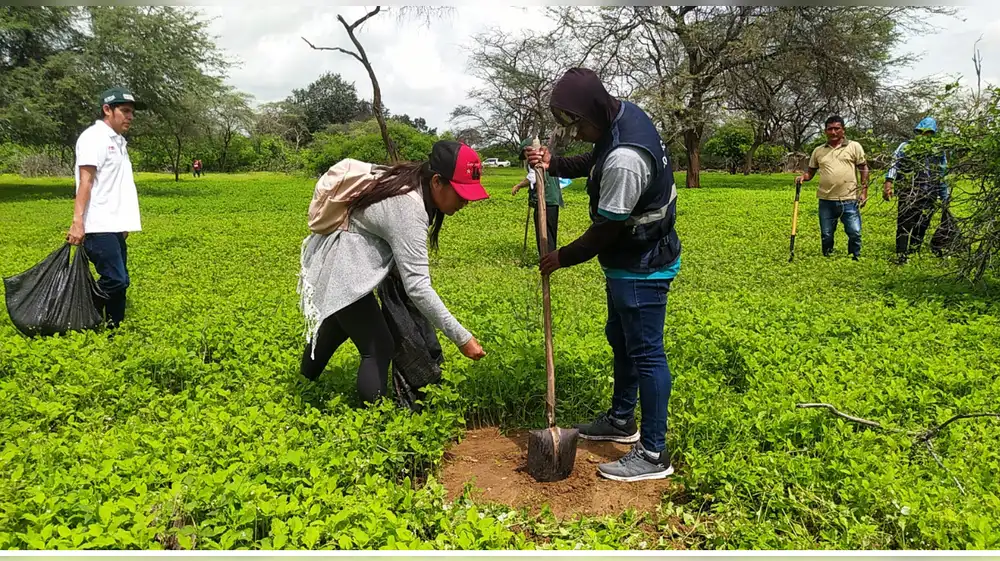 Piura: Capacitan a productores en manejo sostenible del suelo