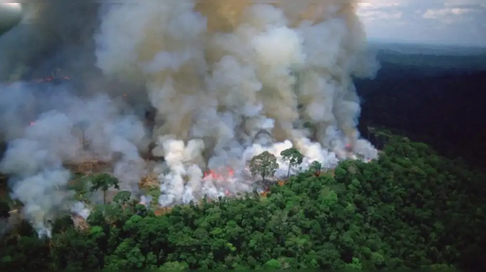 Crecen los incendios forestales en la Amazonía brasileña
