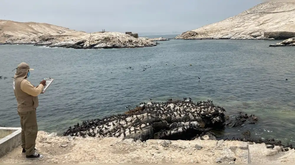 Cerca de 70 especialistas vigilan las islas del Perú