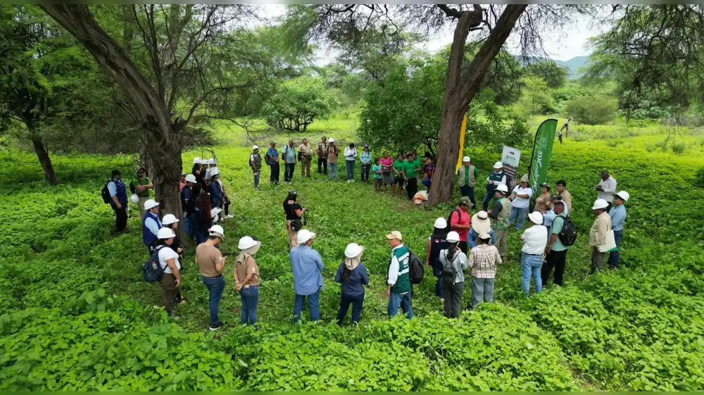 Piura reafirma su compromiso con el aprovechamiento sostenible de la algarroba