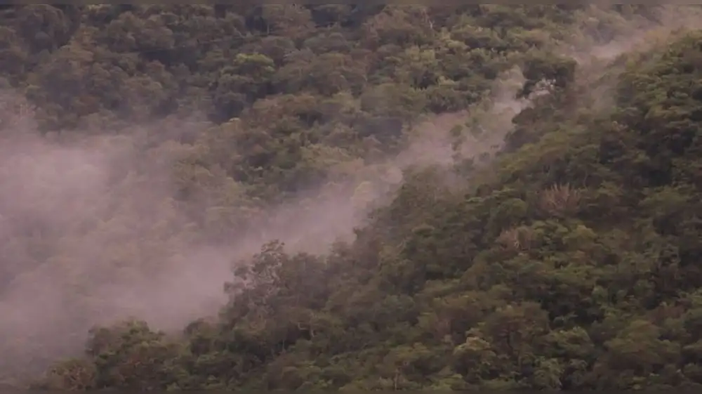 Cajamarca: Establecen Área de Conservación Regional Bosques Montanos de Huamantanga y Chorro Blanco