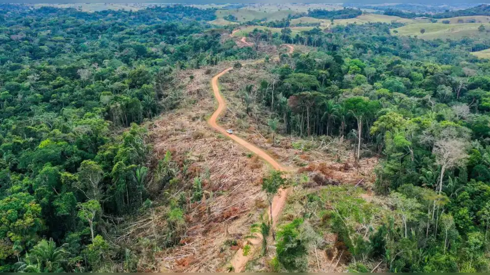 Brasil lanza programa para erradicar deforestación amazónica al 2030