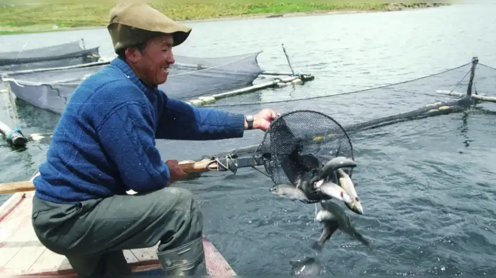 Lanzan plan conjunto para recuperar la pesca en el Lago Titicaca